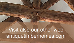 Mountain timber homes