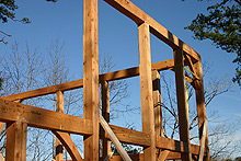 Mountain timber homes