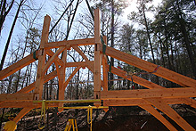 Mountain timber homes