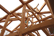 Mountain timber homes