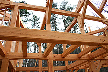 Mountain timber homes